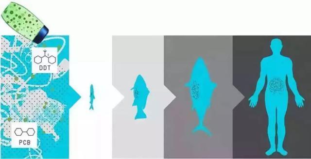 1634630912119311.jpeg 15.jpeg