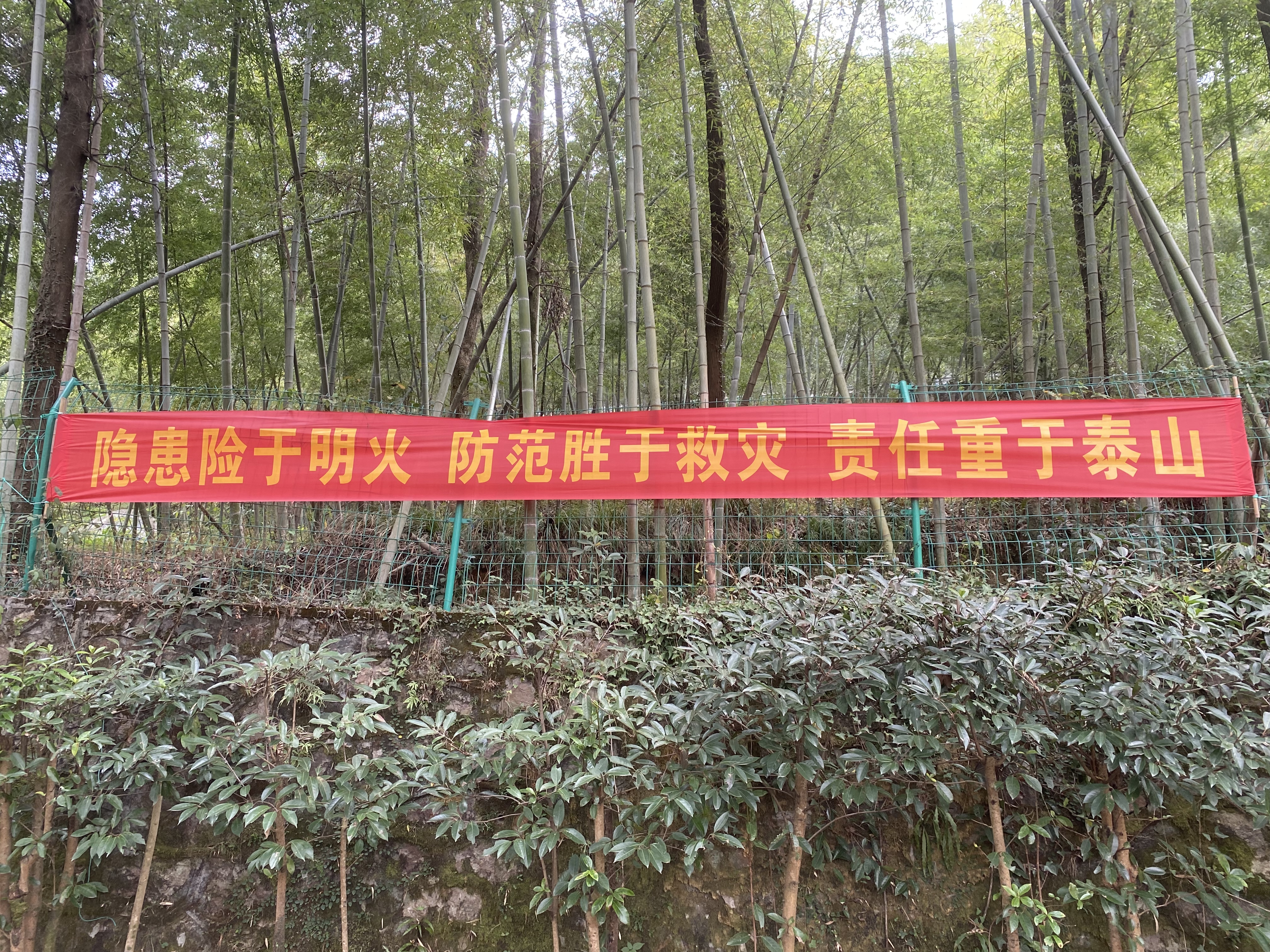 1669019937964687.jpg 所內橫幅.jpg